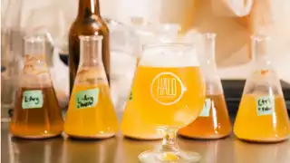 Halo Brewery Halo Brewery
