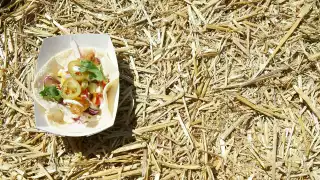 Taco Fest Taco Fest