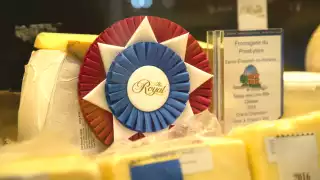 Royal Agricultural Winter Fair Champions Day Royal Agricultural Winter Fair Champions Day