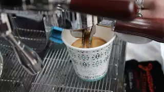 Barocco’s Alto Medium Roast