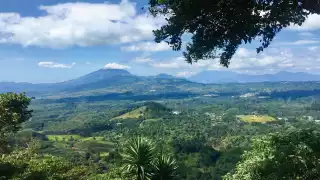Guatemala coffee Guatemala coffee
