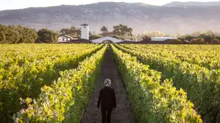 Robert Mondavi Winery