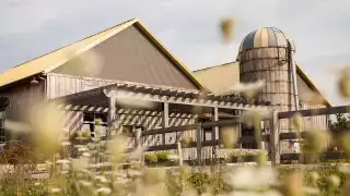 Willibald Farm Distillery and Brewery in Ayr, Ontario | The farm in the summer