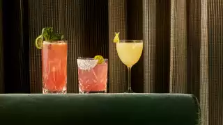 Bar Ardo cocktail bar on King East | Cocktails at Bar Ardo