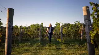 Domaine Queylus | Head winemaker Kelly Masson walking through the vineyard