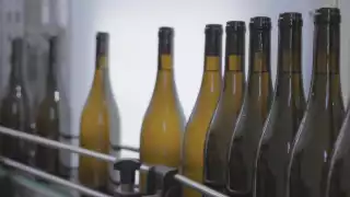 Greek wine | Wine bottles in Samos, Greece Greek wine | Wine bottles in Samos, Greece