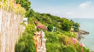 St. Kitts culinary experiences | Sunset Reef St. Kitts culinary experiences | Sunset Reef