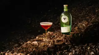 Ramsbury Gin Fall | A bottle of Ramsbury Gin next to a cocktail in a coupe sits in a forest