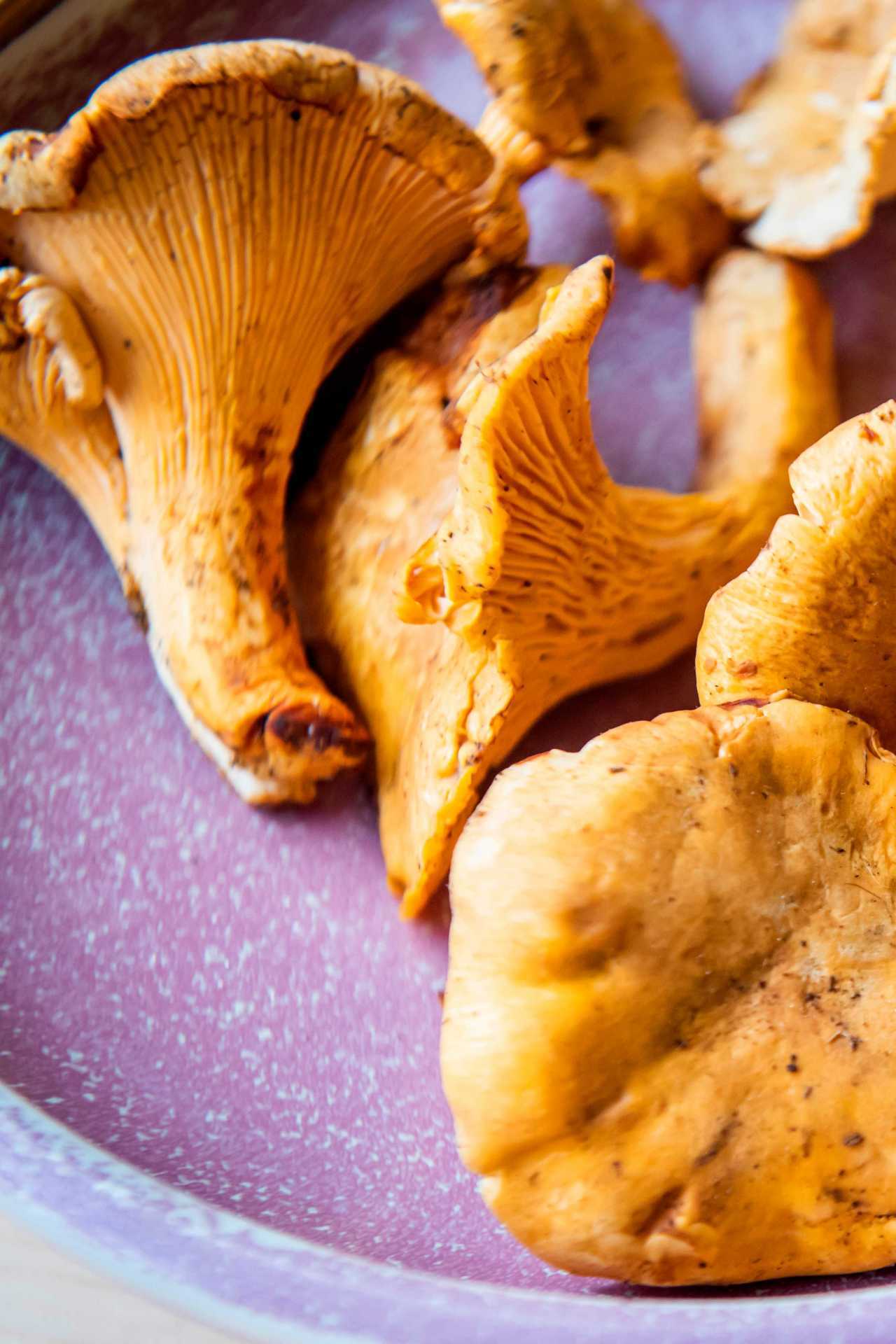 Restaurant supply chains: Marc's Mushrooms