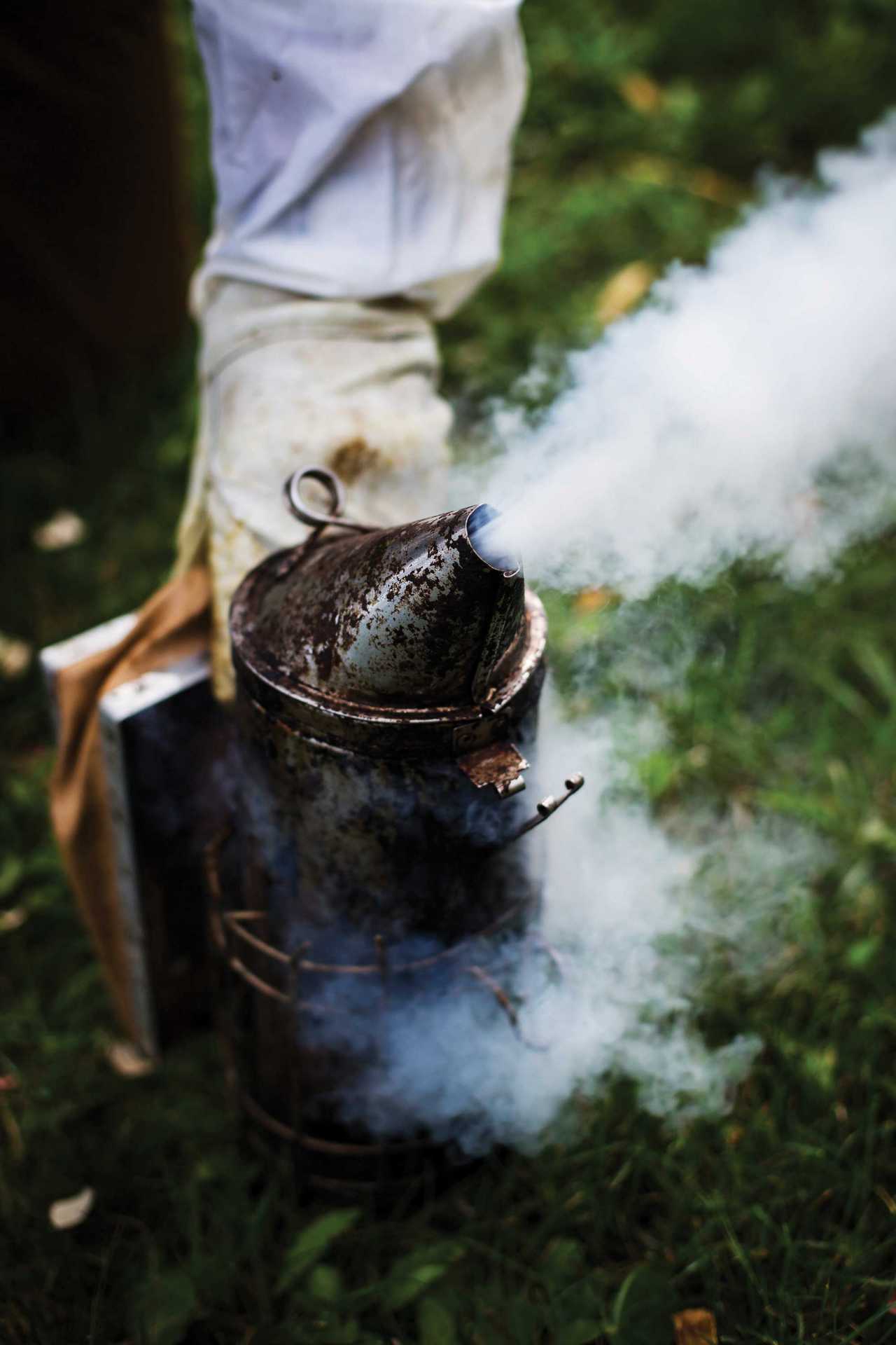 Canadian mead: smoking the bees Canadian mead: smoking the bees