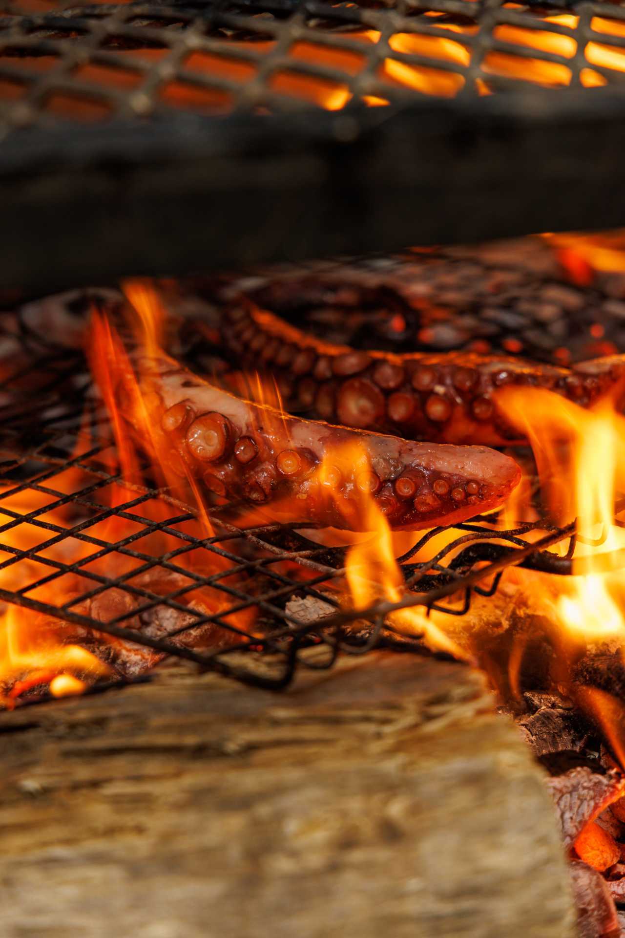 Octopus on the grill at Quetzal Octopus on the grill at Quetzal