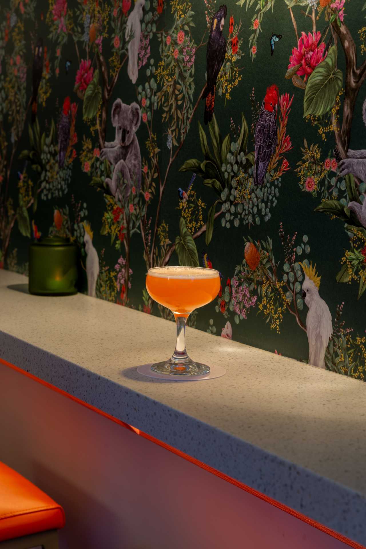 The best bars in Toronto | The Budgie Smuggler at Electric Bill