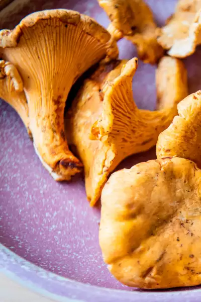 Restaurant supply chains: Marc's Mushrooms