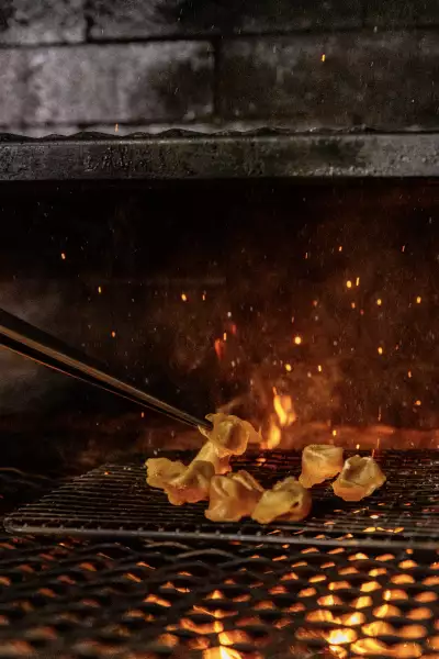 Rev&eacute; | dish in the fire