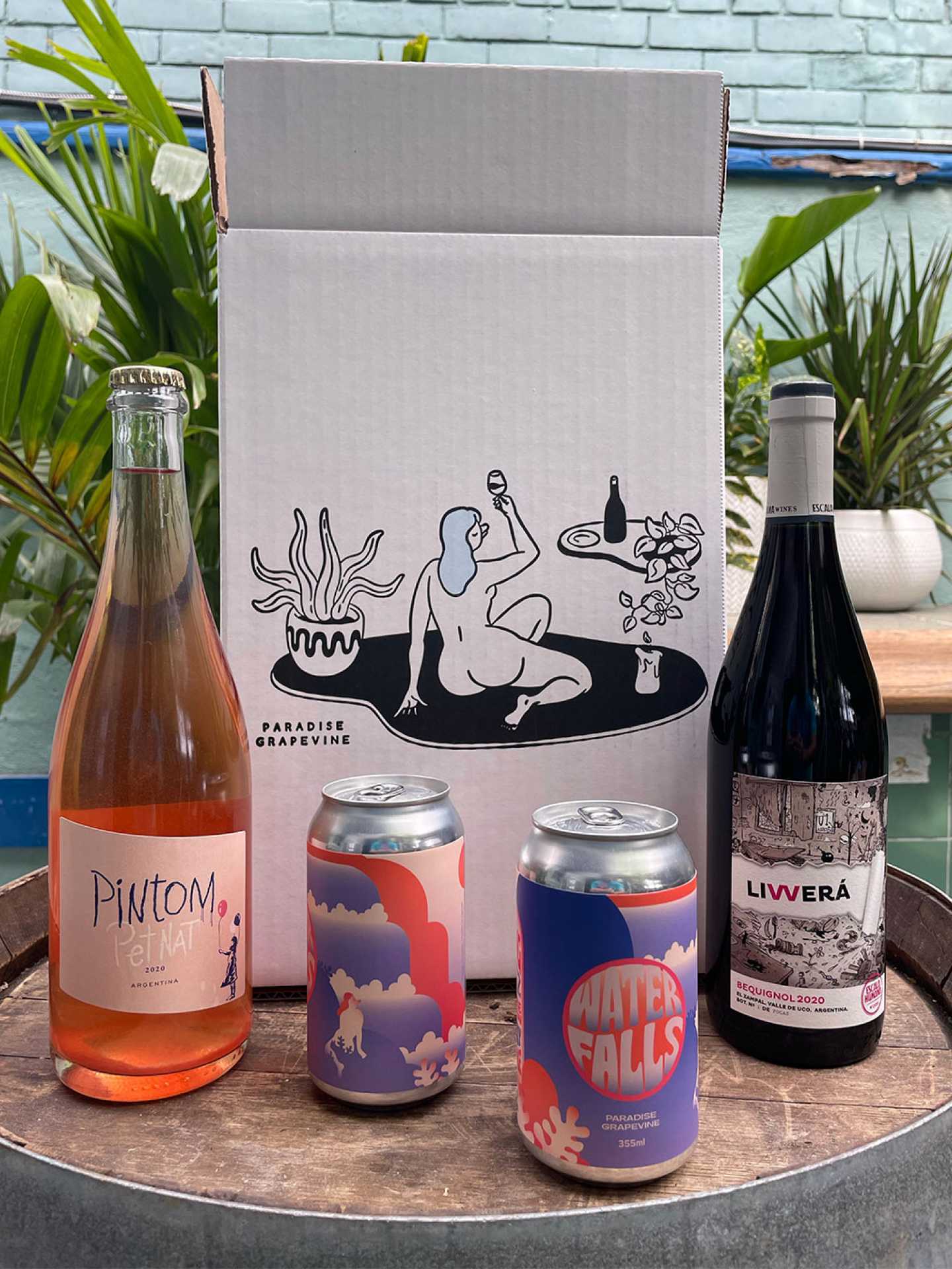 Natural wine Toronto | Wine from Paradise Grapevine's bottle shop Natural wine Toronto | Wine from Paradise Grapevine's bottle shop
