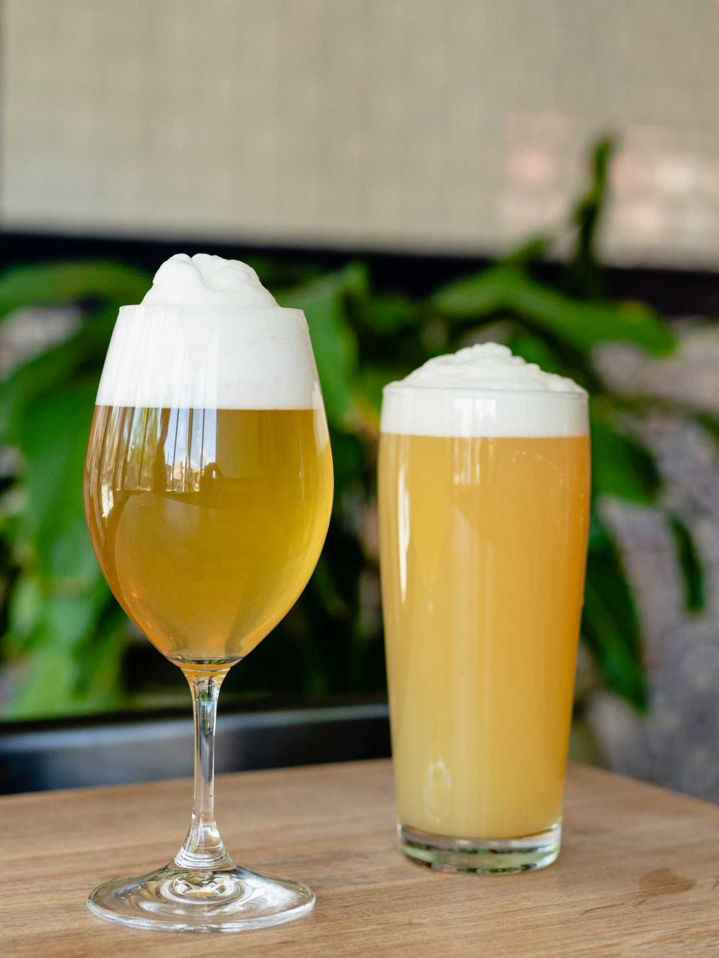 Toronto breweries | A light beer at Burdock Brewery