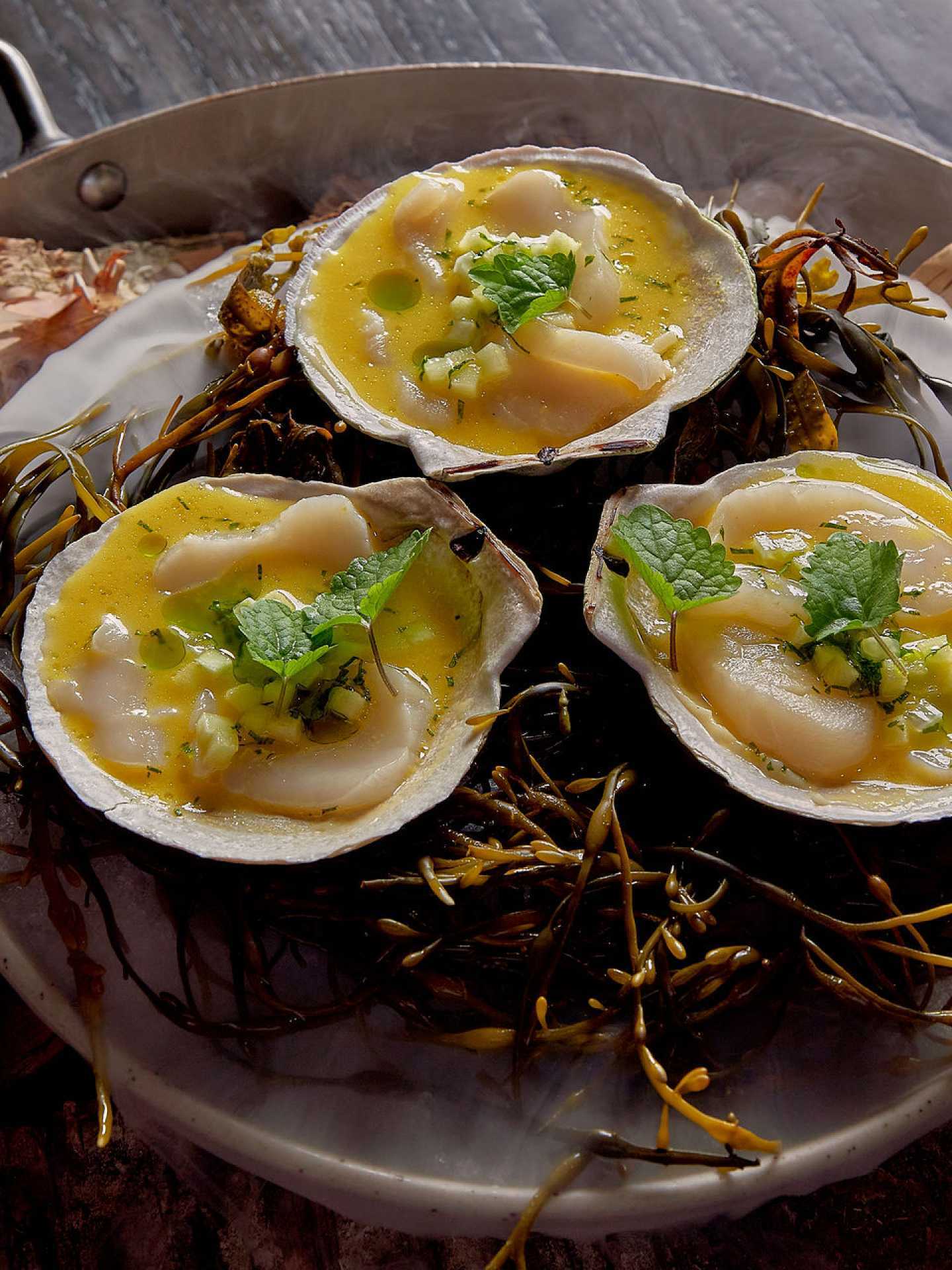 Via Allegro Ristorante | Scallop crudo at Via Allegro Via Allegro Ristorante | Scallop crudo at Via Allegro