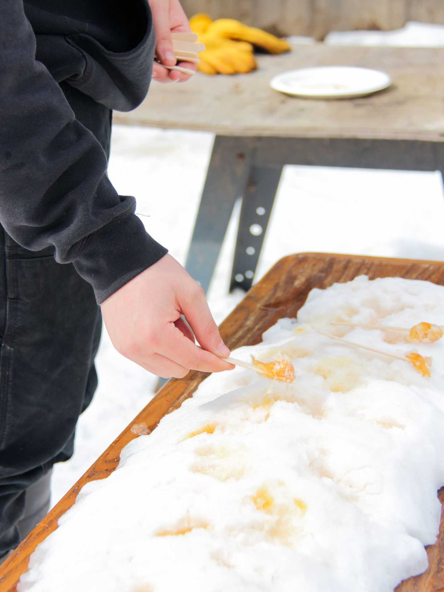 Rural Route Tour Co. maple syrup farm tour | Maple taffy being scooped up from a pile of snow Rural Route Tour Co. maple syrup farm tour | Maple taffy being scooped up from a pile of snow