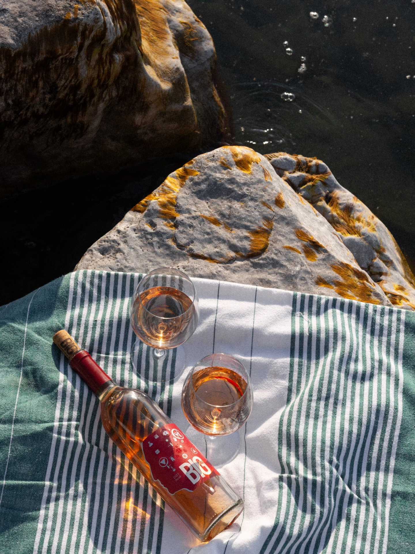 Ontario Wine Awards | Big Head wine on a picnic blanket by the lake