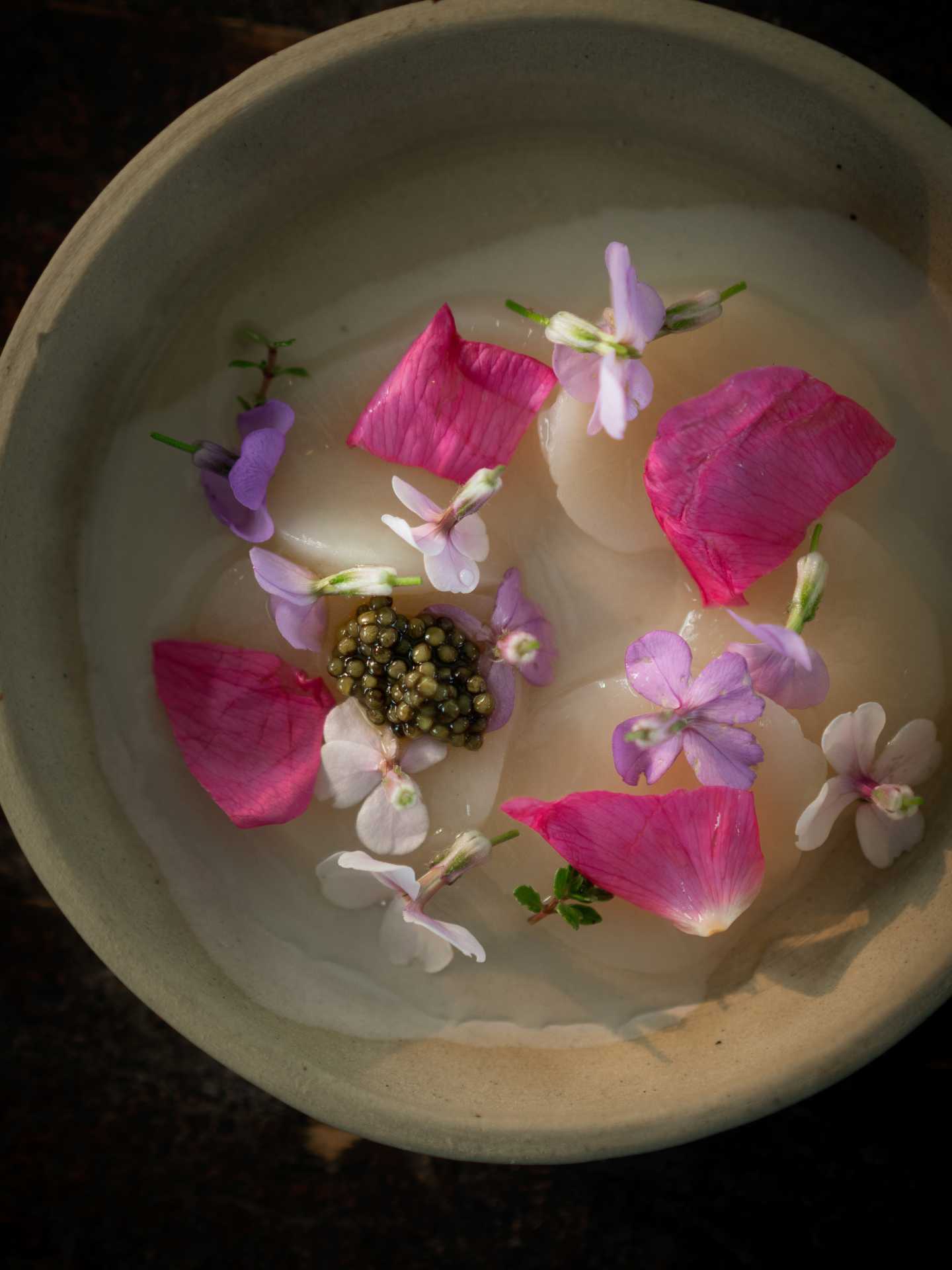 Indigenous food experiences in Canada | A raw scallop dish at Naagan in Owen Sound, Ontario