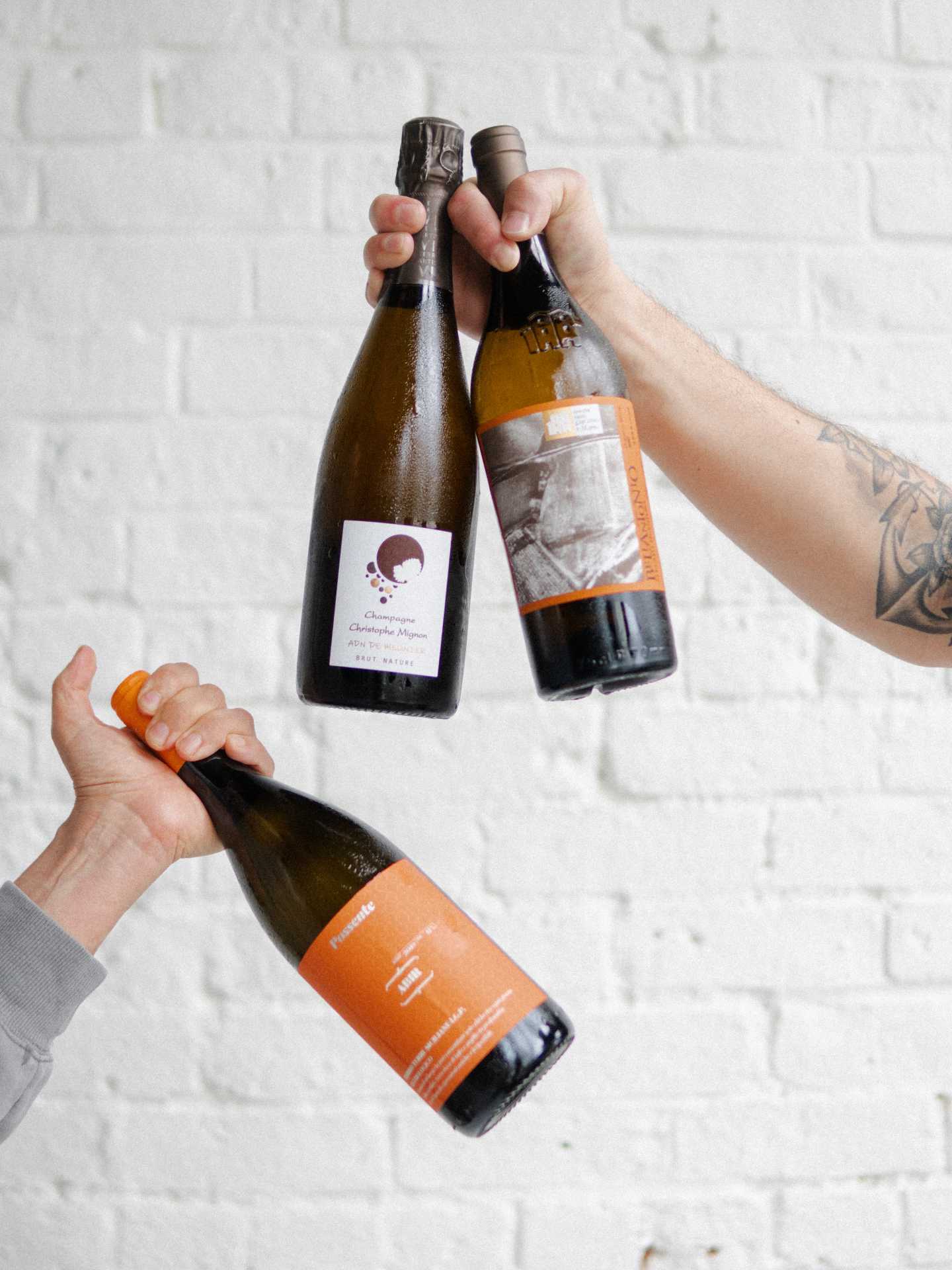 Italian restaurants Toronto | People holding bottles of wine at GIA Italian restaurant in Toronto