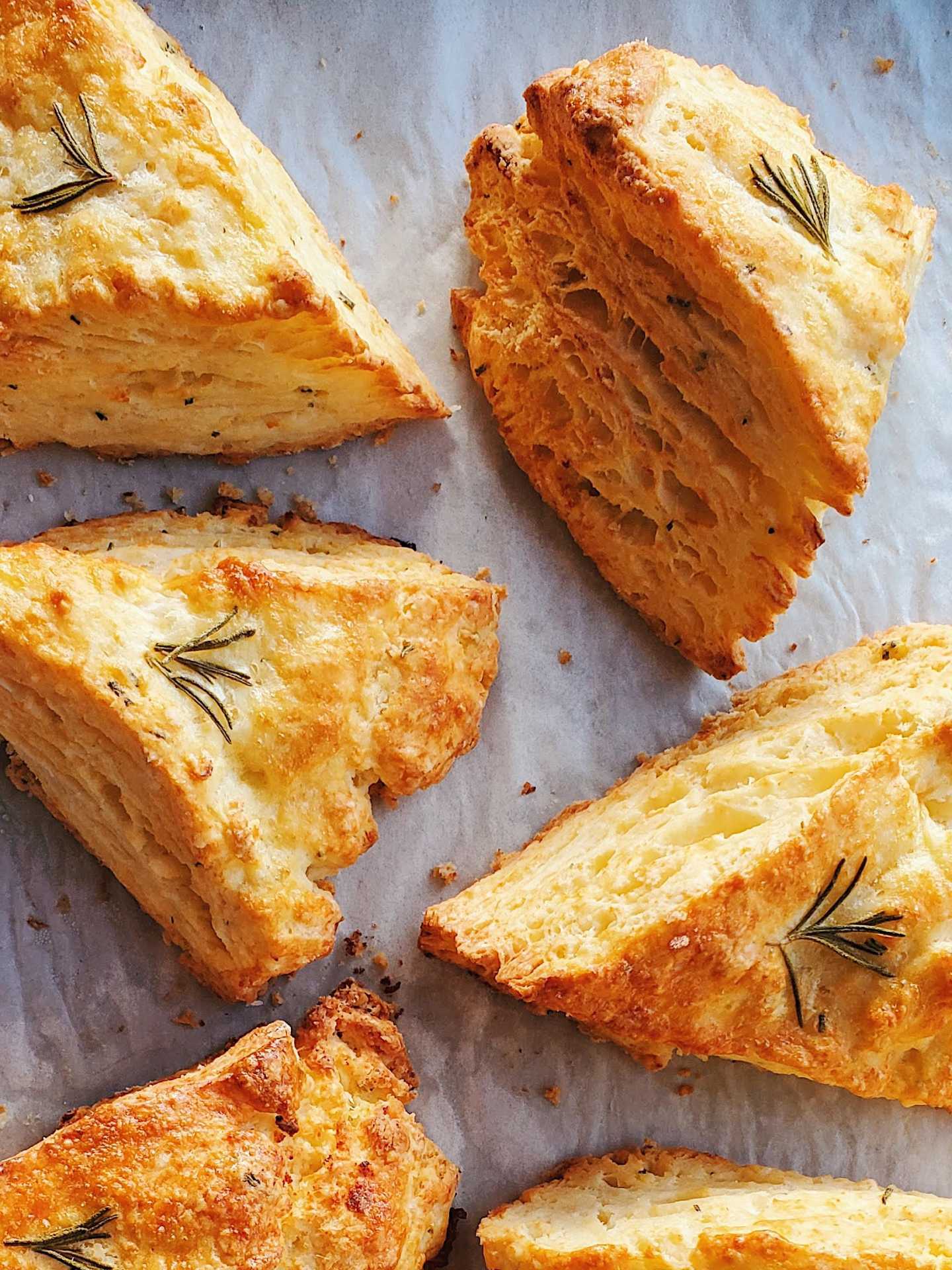 The best cafes in Toronto | Tasty scones at Coco's neighbourhood coffee shop
