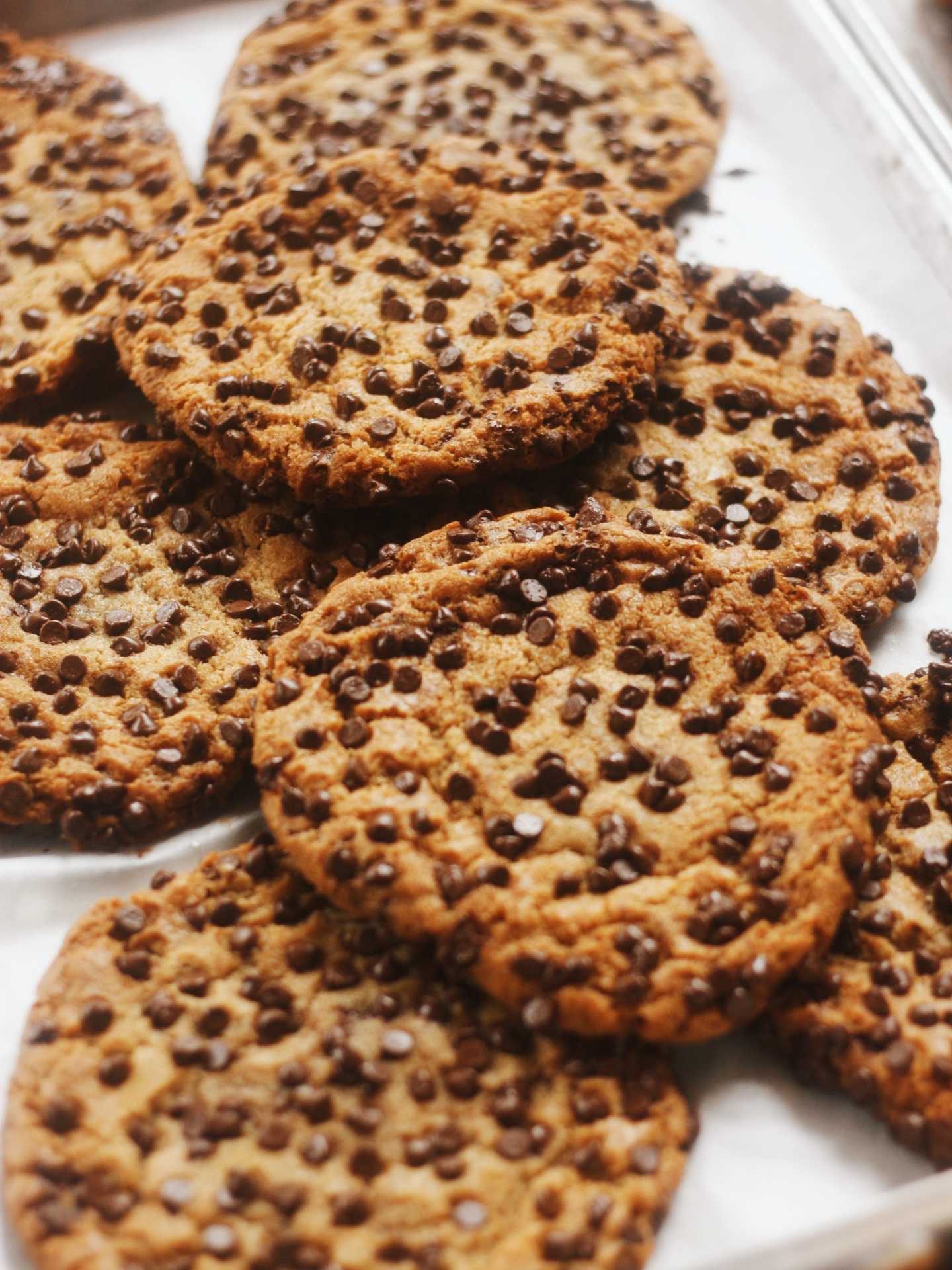 The best cafes in Toronto | Chocolate chip cookies at Coco's neighbourhood coffee shop
