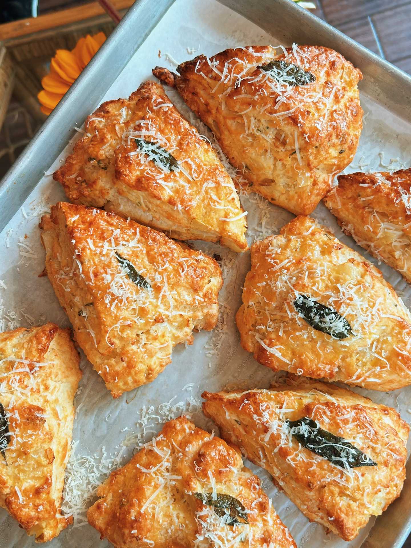 The best cafes in Toronto | Scones at Coco's neighbourhood coffee shop
