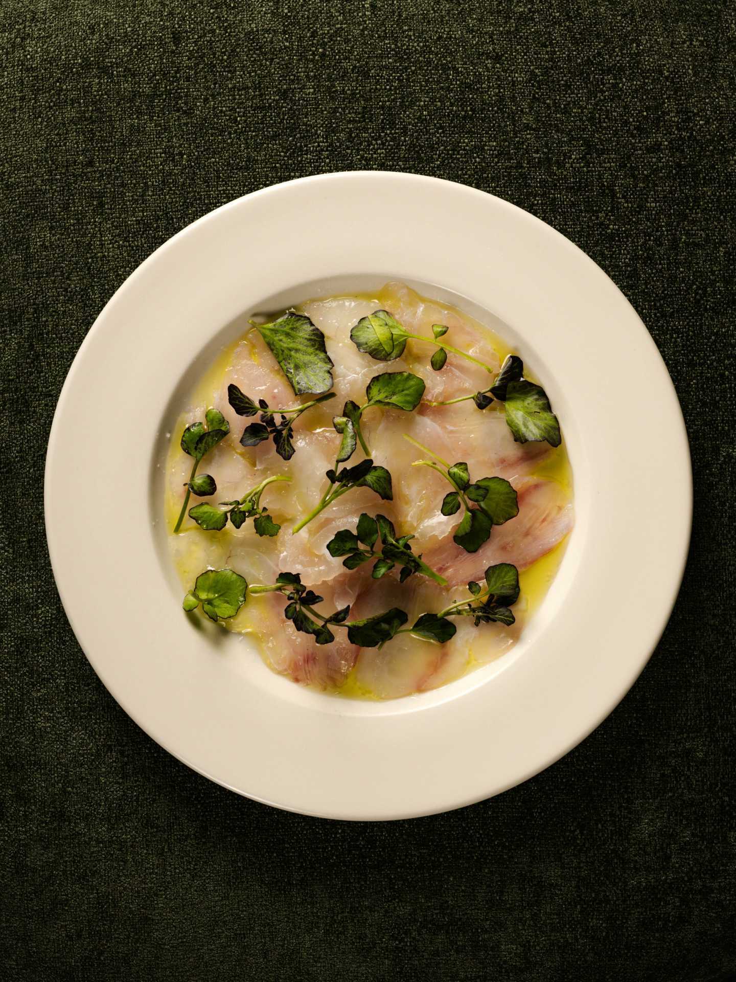 New restaurants Toronto | Crudo at Linny's on Ossington