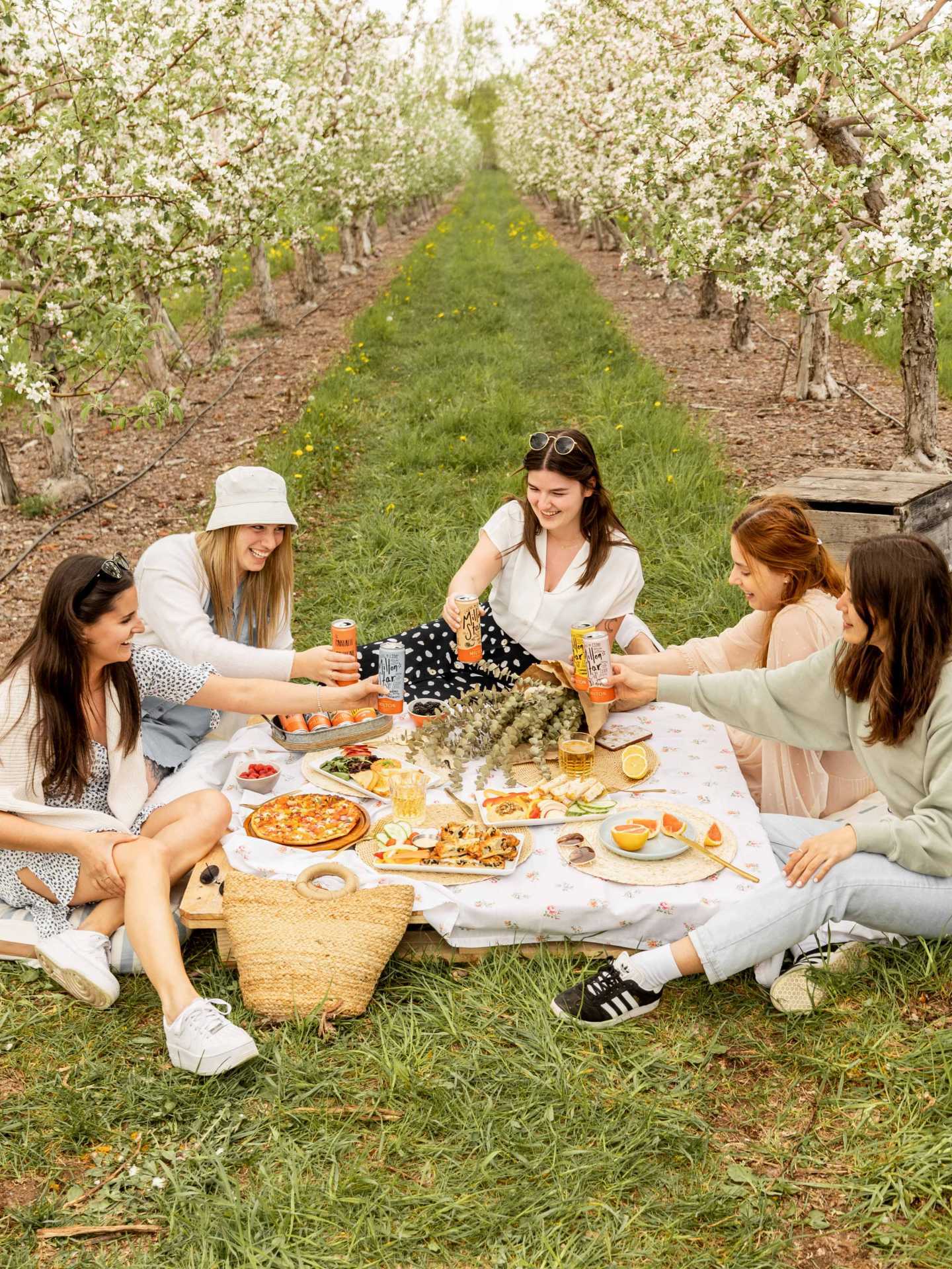 A group of friends having a picnic A group of friends having a picnic