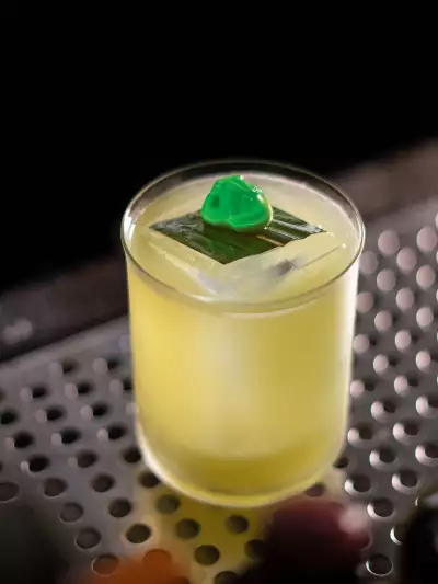 Toronto speakeasies | Kermit's Revenge at Bitters & Bloom