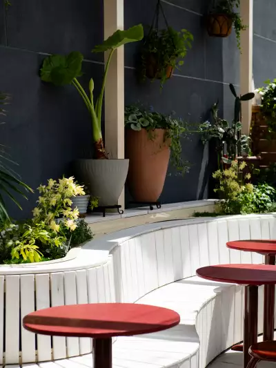 Bench seating on the back patio at Grape Witches on Dundas
