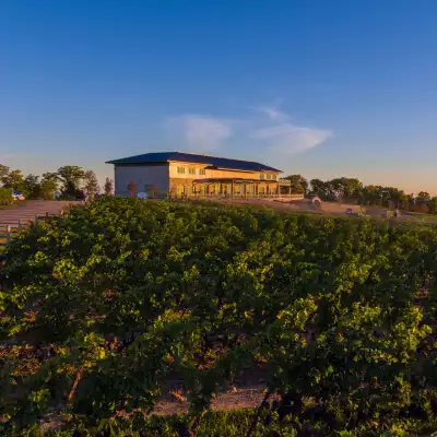 A beautiful Beamsville winery, Megalomaniac Wines
