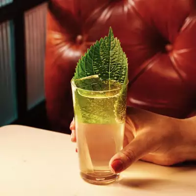 Shiso Shiso by the Seashore at No Vacancy