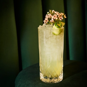 Best cocktail bars in Toronto | Champagne & Absinthe cocktail at Prequel and Co. Apothecary