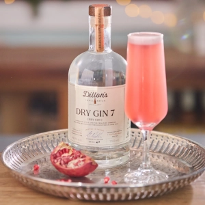 Holiday bottles to gift | Dillon's Dry Gin Holiday bottles to gift | Dillon's Dry Gin