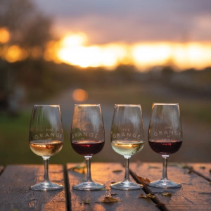Prince Edward County | A lineup of wine glasses on the patio at Grange of Prince Edward winery Prince Edward County | A lineup of wine glasses on the patio at Grange of Prince Edward winery