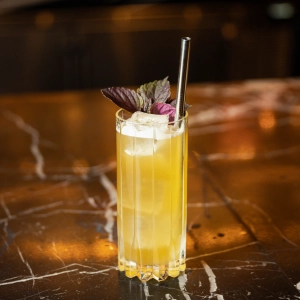 Summer cocktail recipes | Enigma's Perilla Highball