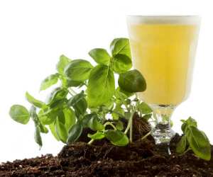 barchef-widget-daiquiri