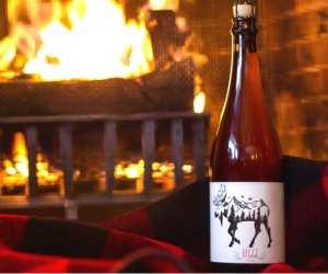 bottle-service-sawdust-city-hygge-ale