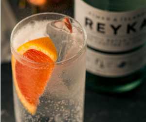 bottle-service-reyka-vodka