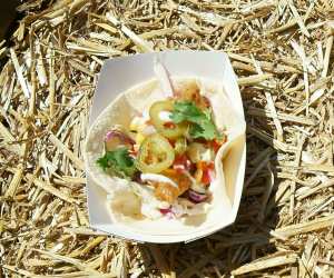 Make This: Fidel Gastro's Carolina Fried Chicken Taco