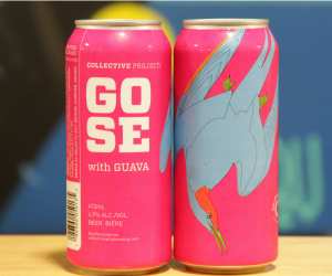 collective arts guava gose