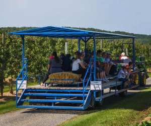 Top Six in the 6: Farm Experiences