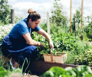 Top-6-in-the-six-vegan-chefs