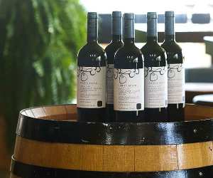 bottles-thirty-bench-cab-franc