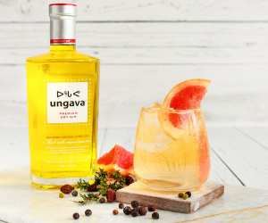 Gin cocktail recipes | A cocktail recipe with Ungava gin