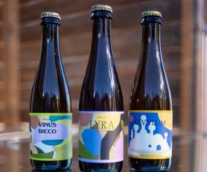 Burdock Brewery: three different beers