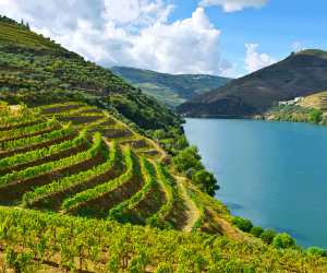 Wines of Portugal | Douro Valley