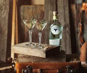 Martinis with a bottle of Ramsbury London dry gin